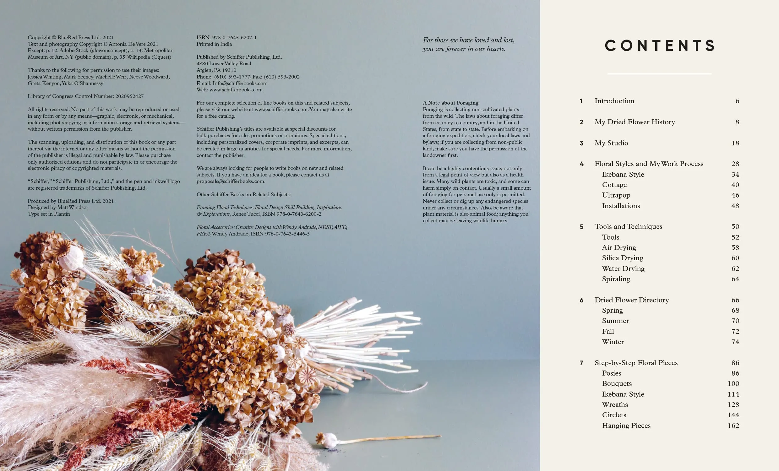 Forever Flowers | Dry, Preserve, Display