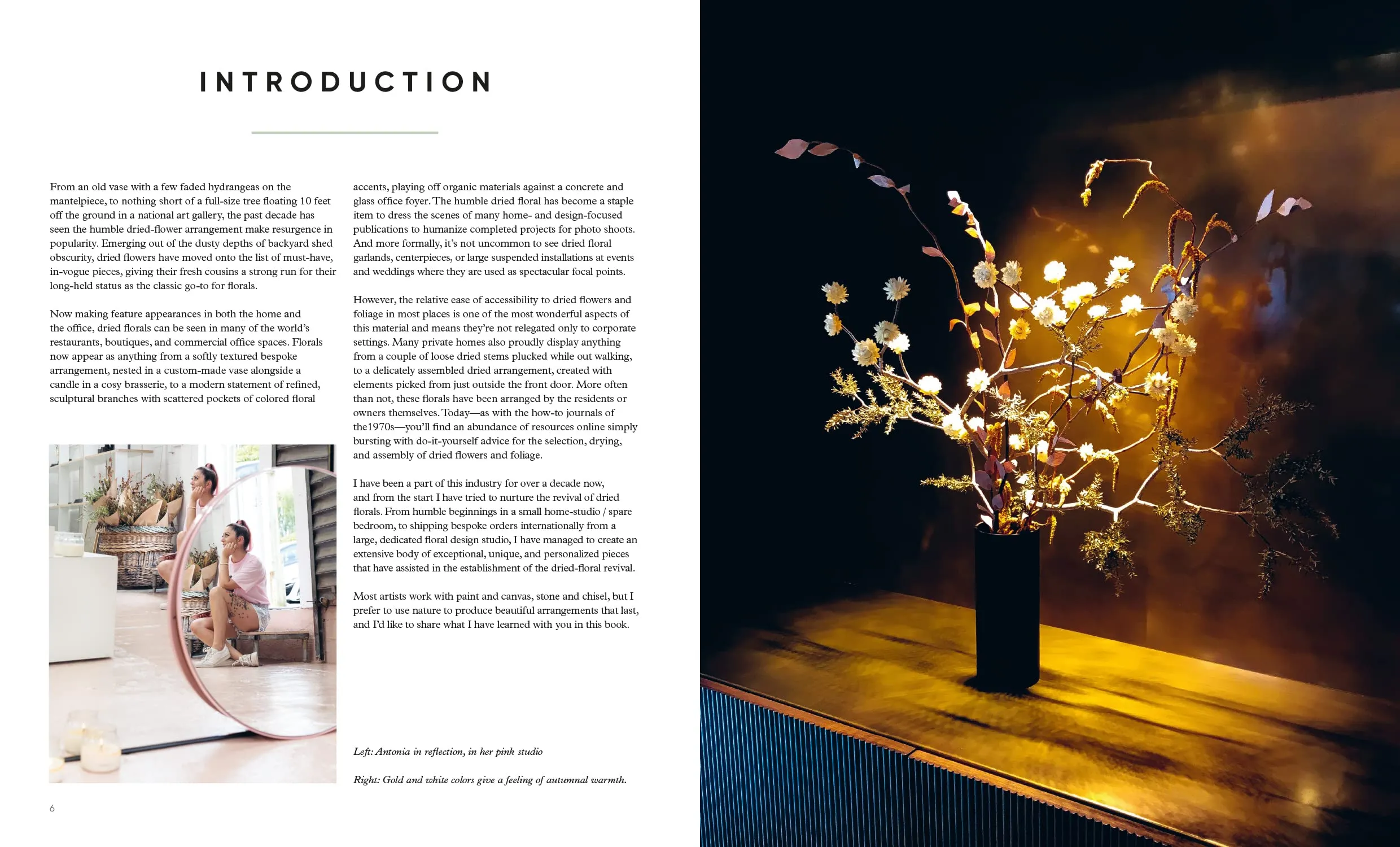 Forever Flowers | Dry, Preserve, Display